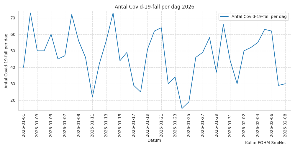 c19fall2026line